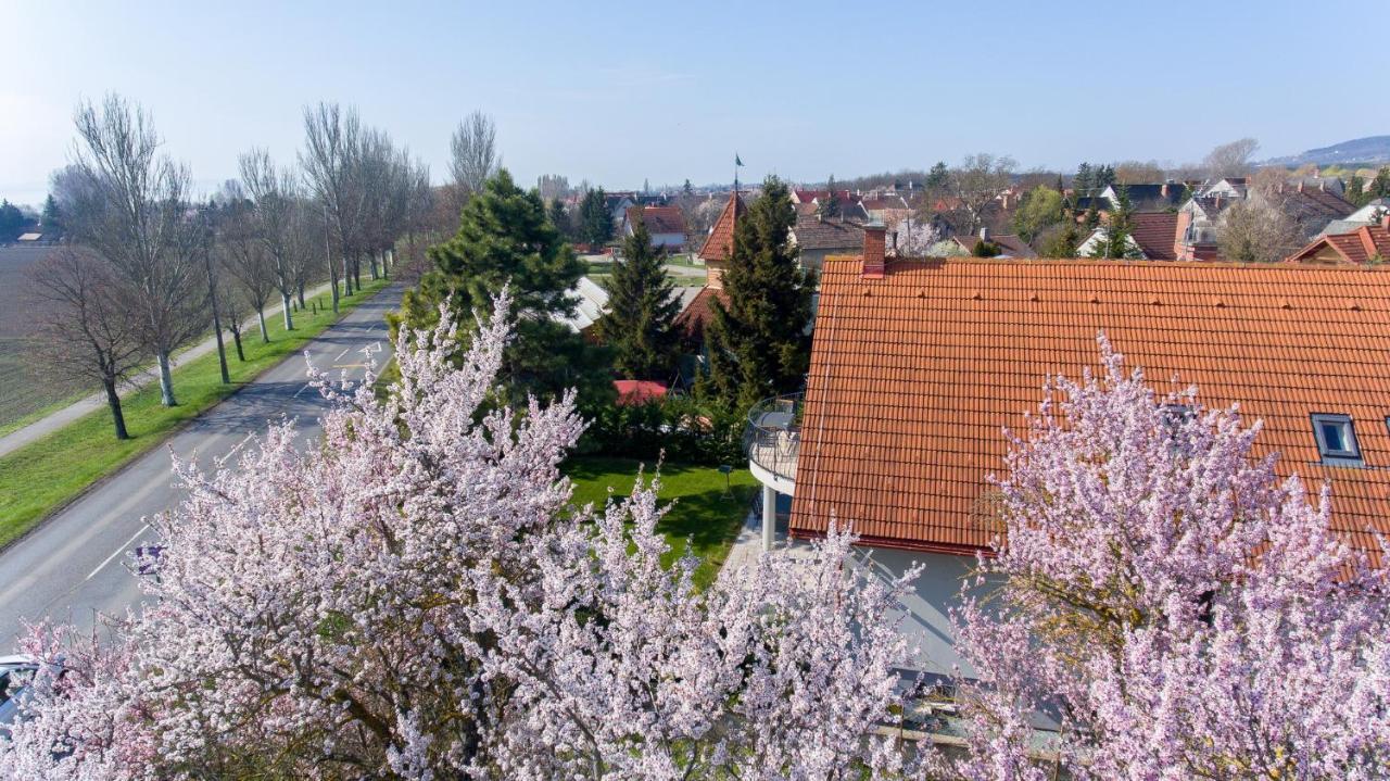 Tulipán vendégház Orvenyes Exterior foto